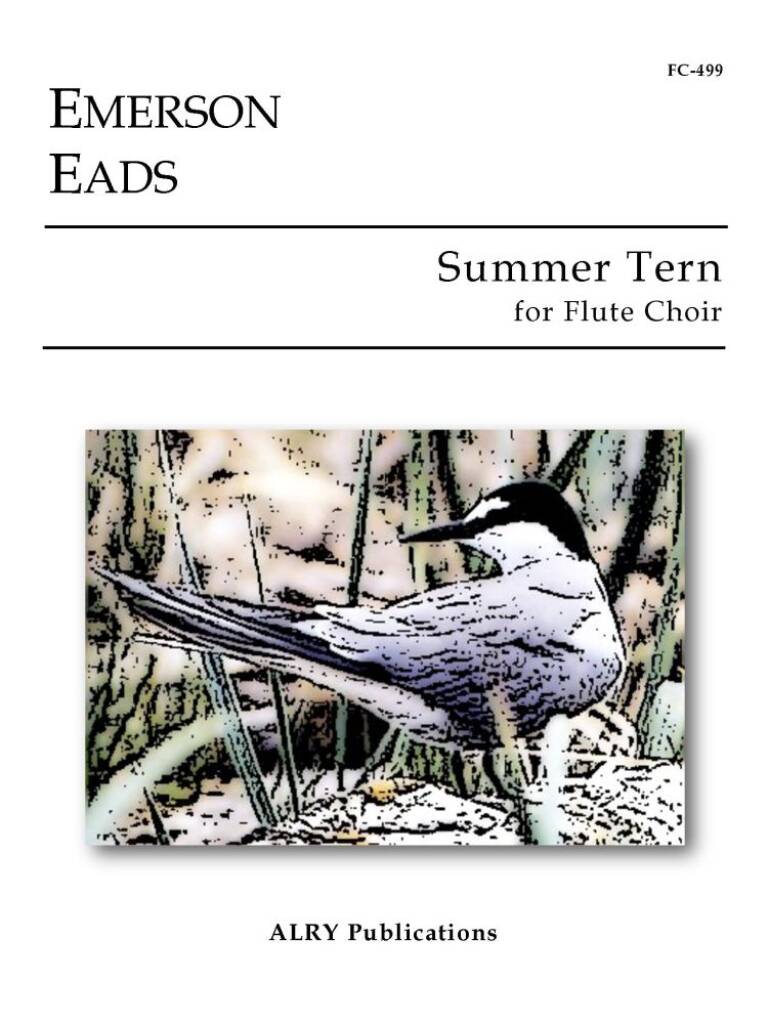 Summer Tern